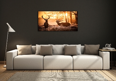Schilderij op glas Herten zonsopgang