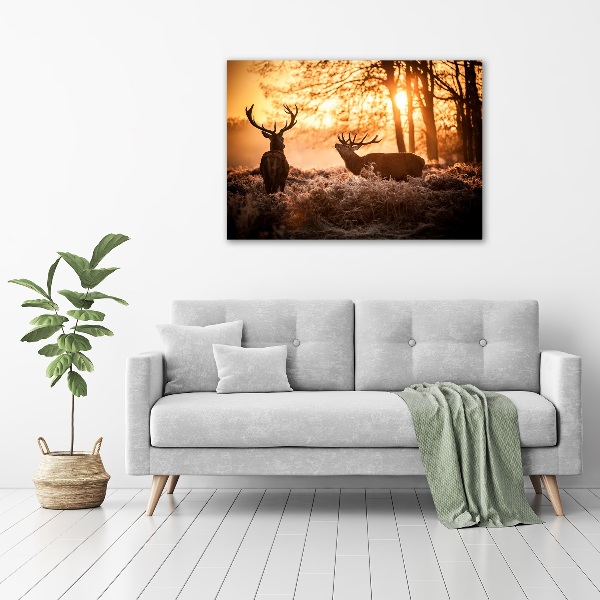 Schilderij op glas Herten zonsopgang