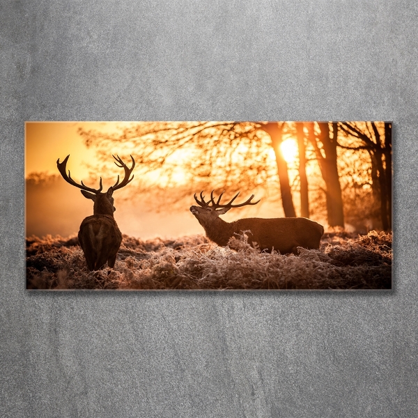 Schilderij op glas Herten zonsopgang