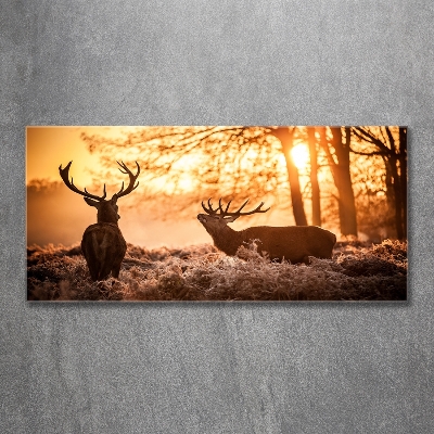 Schilderij op glas Herten zonsopgang