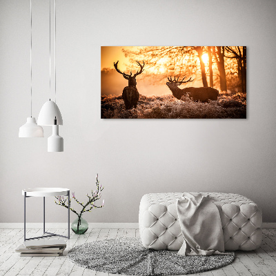 Schilderij op glas Herten zonsopgang