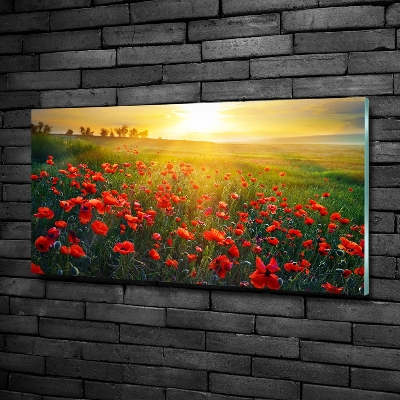 Foto obraz szkło hartowane Pole maków
