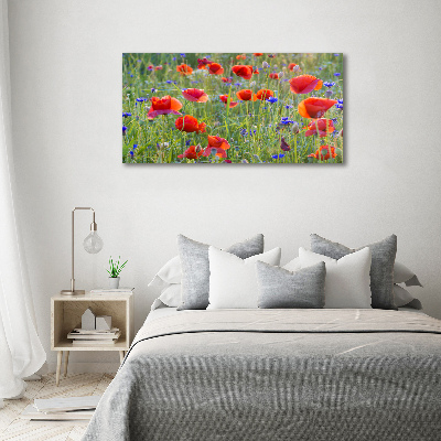 Schilderij op glas Wilde bloemen