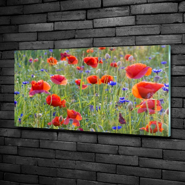 Schilderij op glas Wilde bloemen