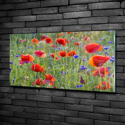 Schilderij op glas Wilde bloemen