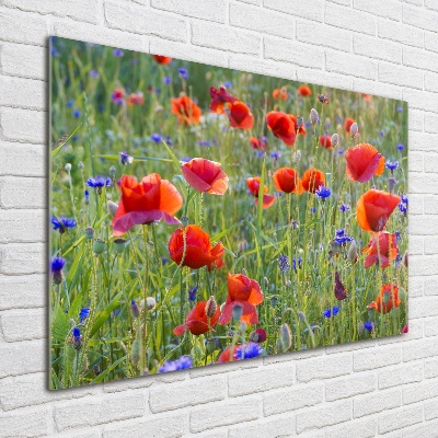 Schilderij op glas Wilde bloemen