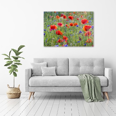 Schilderij op glas Wilde bloemen