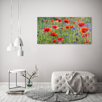Schilderij op glas Wilde bloemen