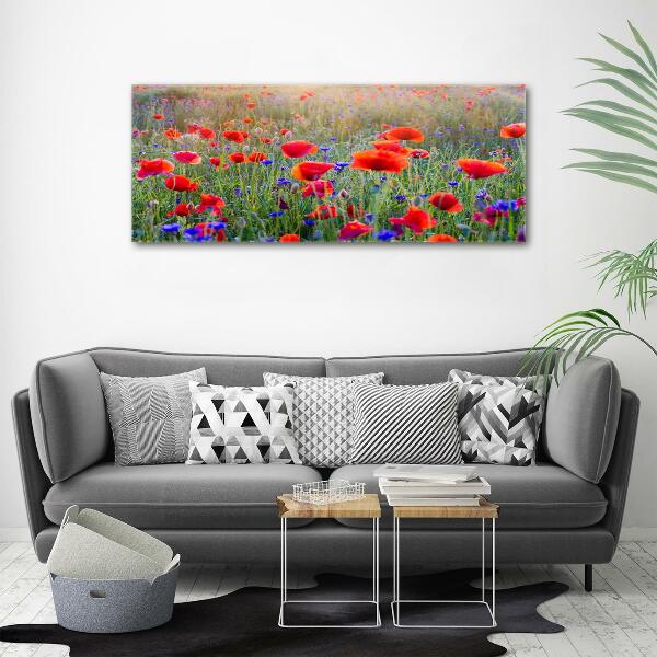 Schilderij glas Wilde bloemen