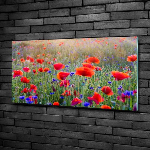 Schilderij glas Wilde bloemen