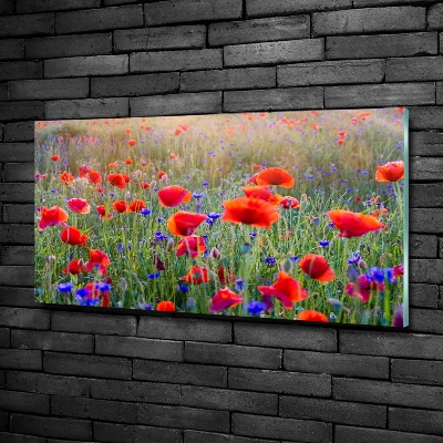 Schilderij glas Wilde bloemen