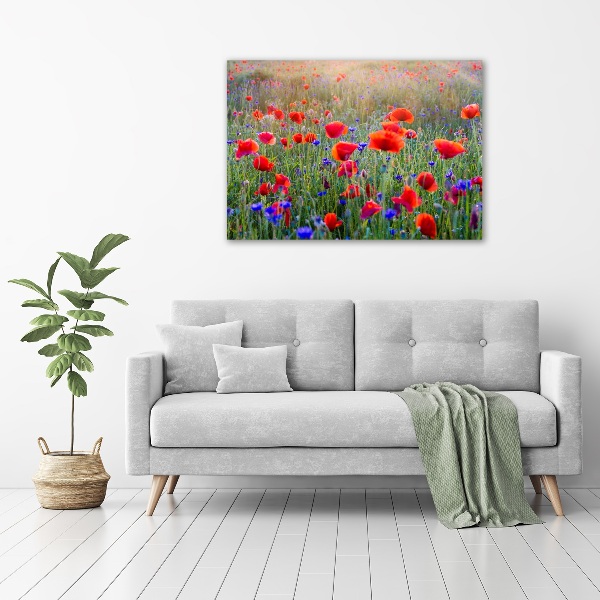 Schilderij glas Wilde bloemen