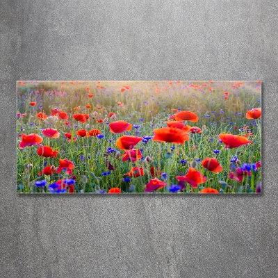 Schilderij glas Wilde bloemen