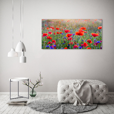 Schilderij glas Wilde bloemen