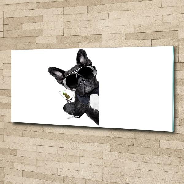 Foto schilderij op glas Martini Dog