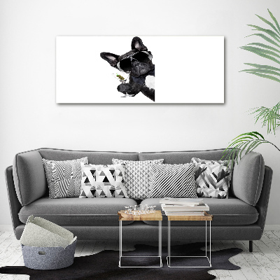 Foto schilderij op glas Martini Dog