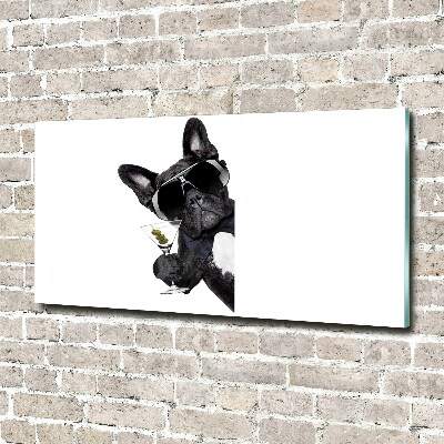 Foto schilderij op glas Martini Dog