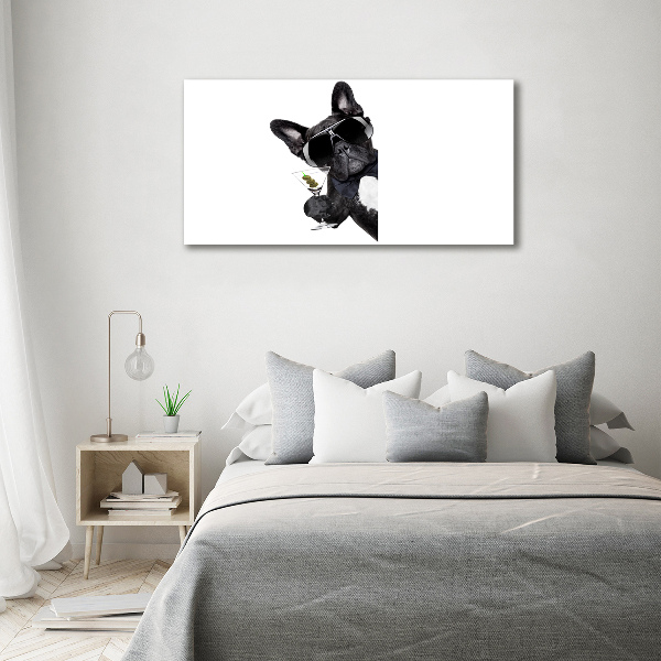 Foto schilderij op glas Martini Dog