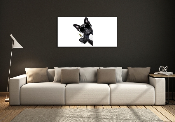 Foto schilderij op glas Martini Dog