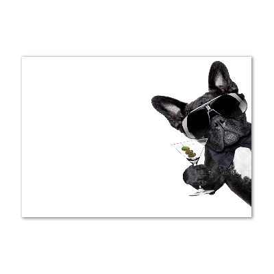 Foto schilderij op glas Martini Dog