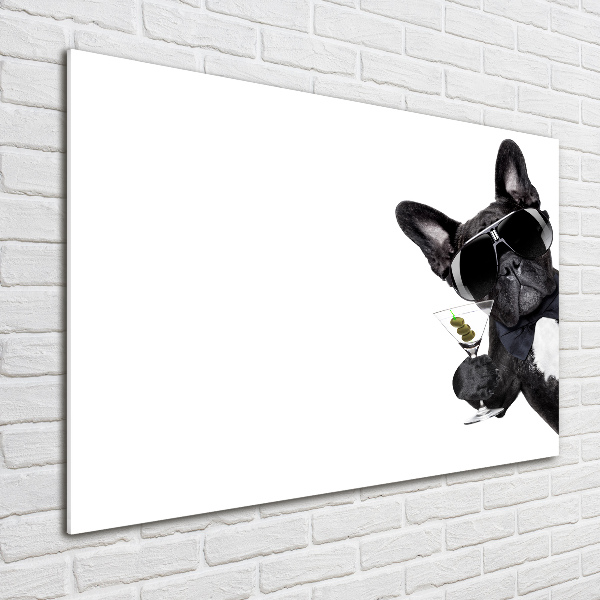 Foto schilderij op glas Martini Dog