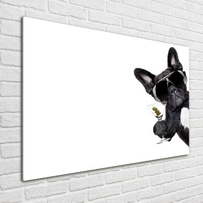 Foto schilderij op glas Martini Dog