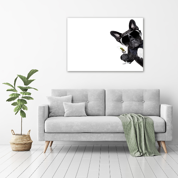 Foto schilderij op glas Martini Dog