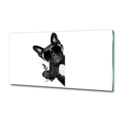 Foto schilderij op glas Martini Dog