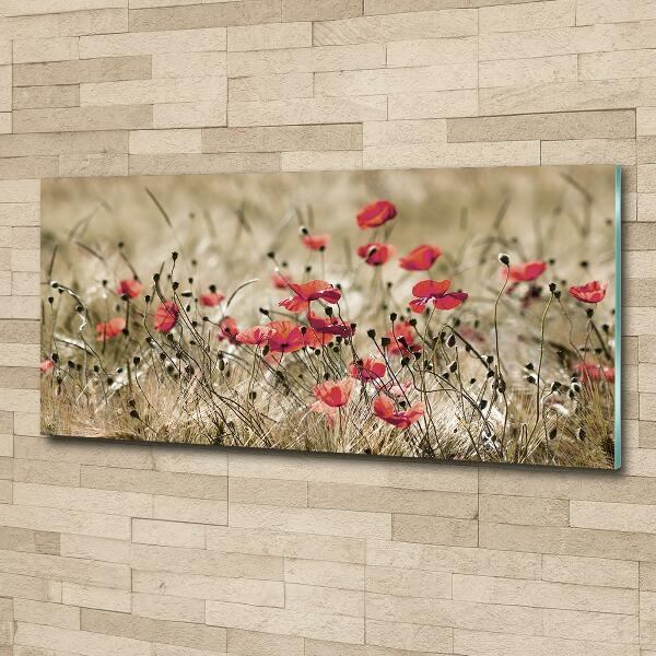 Foto schilderij op glas Klaprozen