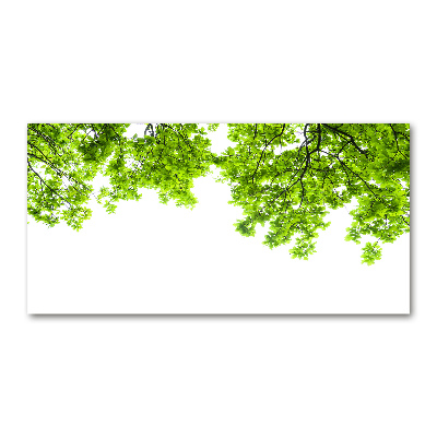 Schilderij glas Eikenbladeren