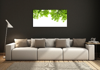 Schilderij glas Eikenbladeren