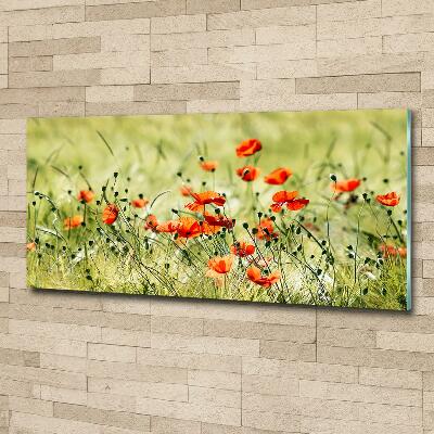 Glazen schilderij Klaprozen