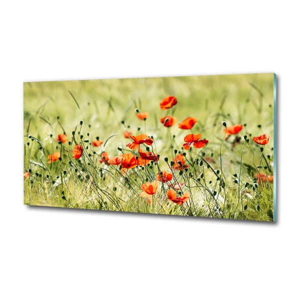 Glazen schilderij Klaprozen