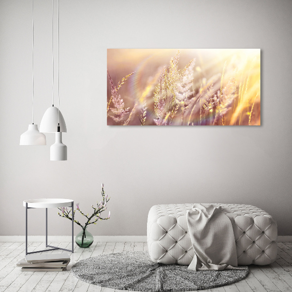 Foto schilderij op glas Hoog gras