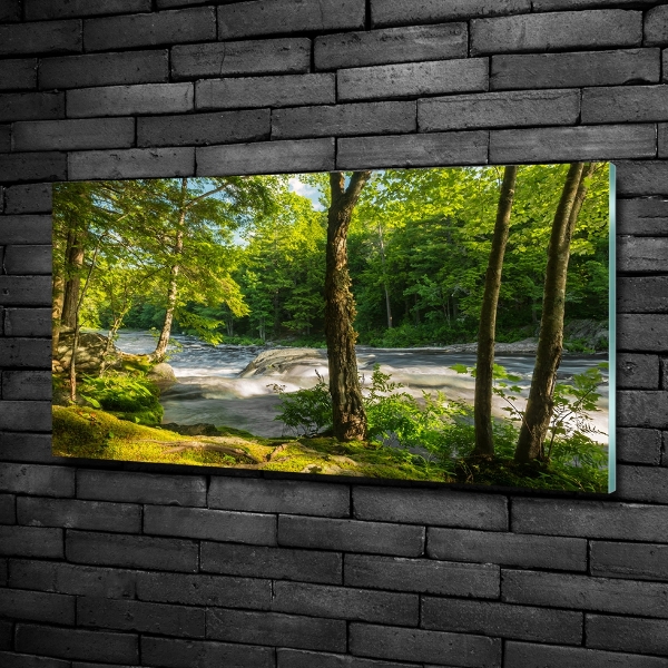 Schilderij op glas Rivier in het bos