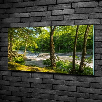 Schilderij op glas Rivier in het bos