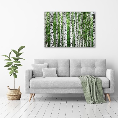 Schilderij op glas Berken