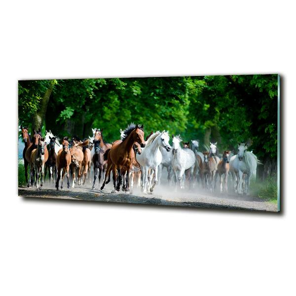 Schilderij op glas Paarden in galop
