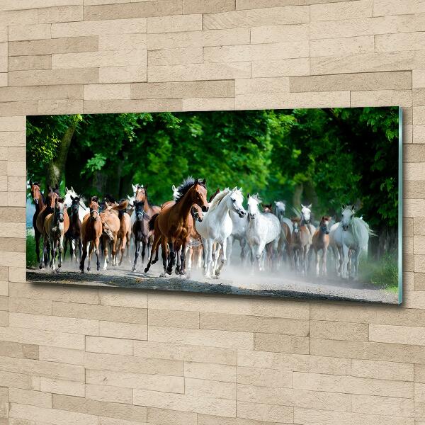 Schilderij op glas Paarden in galop