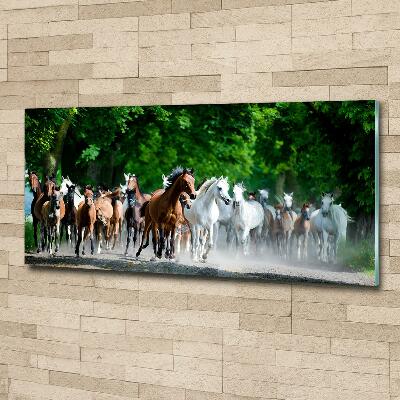 Schilderij op glas Paarden in galop