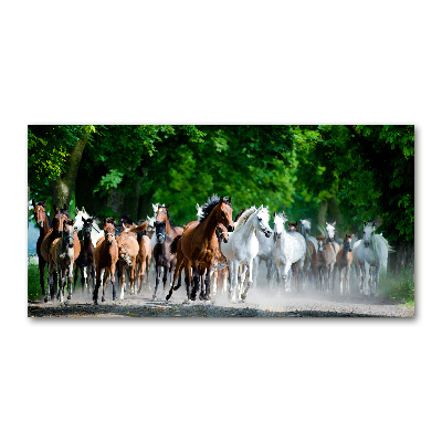 Schilderij op glas Paarden in galop