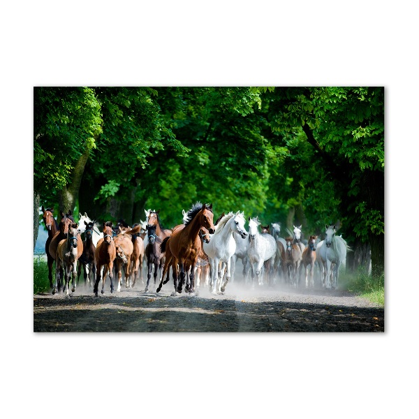 Schilderij op glas Paarden in galop