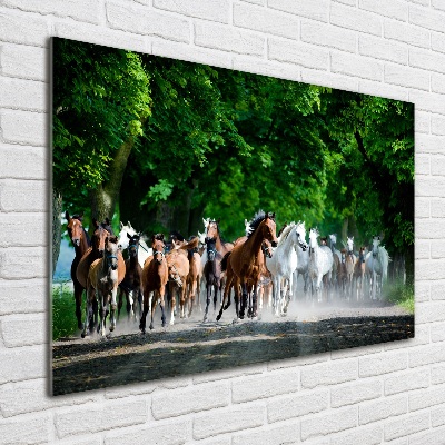 Schilderij op glas Paarden in galop