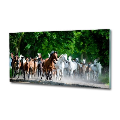 Schilderij op glas Paarden in galop