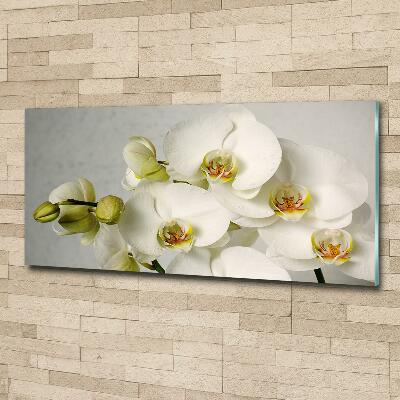 Glazen schilderij Witte orchidee