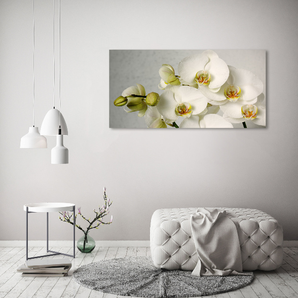 Glazen schilderij Witte orchidee
