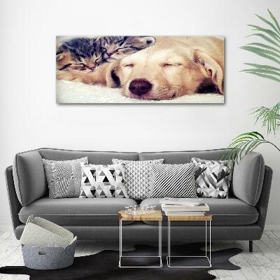 Schilderij glas Puppy's en katten