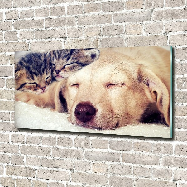 Schilderij glas Puppy's en katten