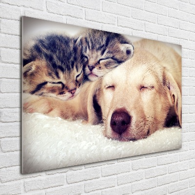 Schilderij glas Puppy's en katten