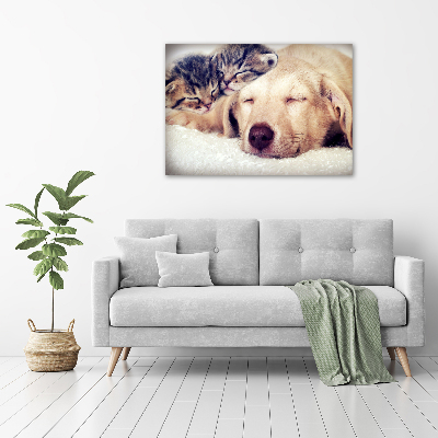 Schilderij glas Puppy's en katten